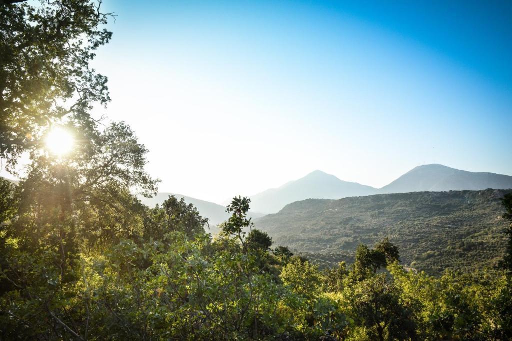 Enagron Ecotourism Village Axos Ngoại thất bức ảnh