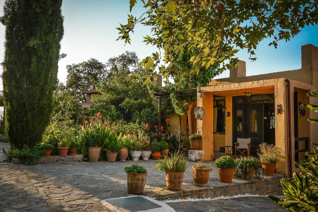Enagron Ecotourism Village Axos Ngoại thất bức ảnh